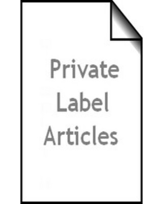 Product picture ARTICLES MARKETING - Pack of 10 PLR articles