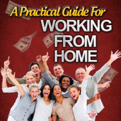 Product picture Practical Guide For Working From Home
