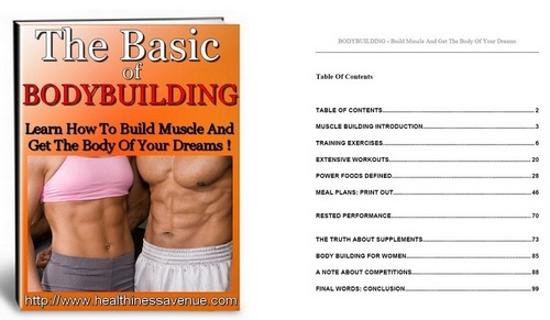 Product picture The basic Of Bodybuilding