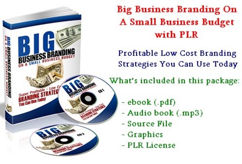 Product picture Big Business Branding On A Small Business Budget With PLR