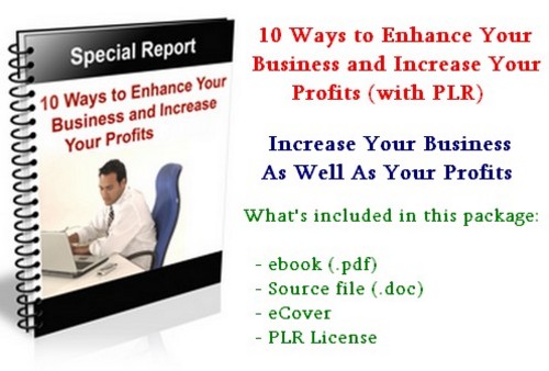 Product picture 10 Ways To Enhance Your Business and Increase Your Profits